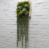 仿真植物壁挂绿植墙面装饰假花走廊餐厅办公场所绿植物装饰北欧风
